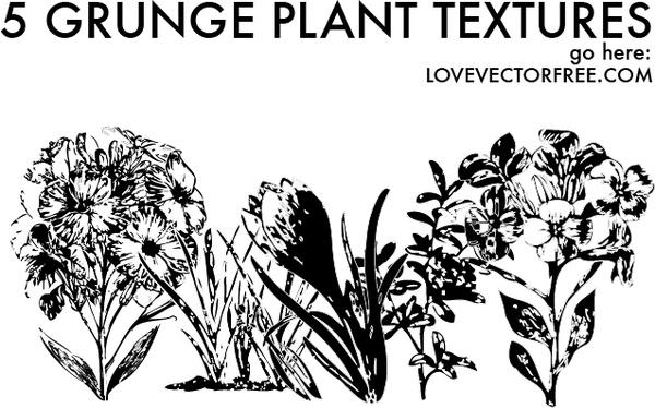 5 Grunge Plant Textures by LVF