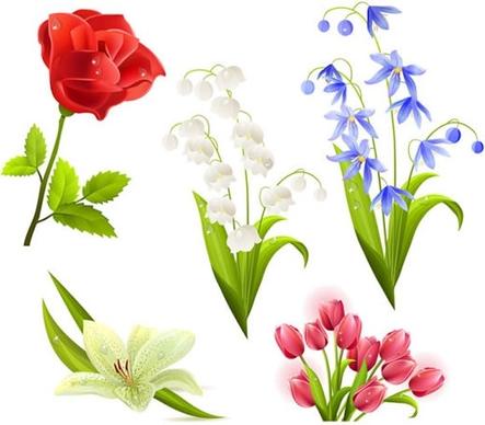 flora icons realistic colorful modern design