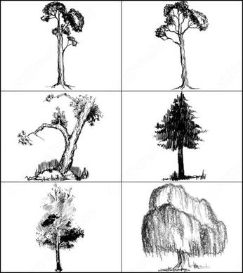 6 hi-res doodled trees  brush