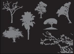 
								7 Tree Silhouettes							