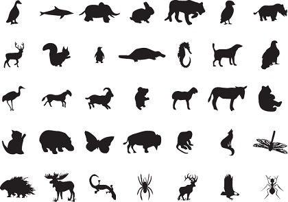 wild animals icons collection black silhouettes sketch