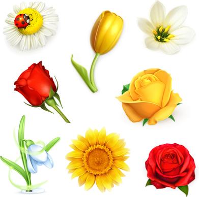8 beautiful flowers vector