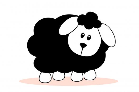 a cute black sheep