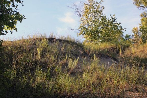 a dune at whitefish dunes state park wisconsin