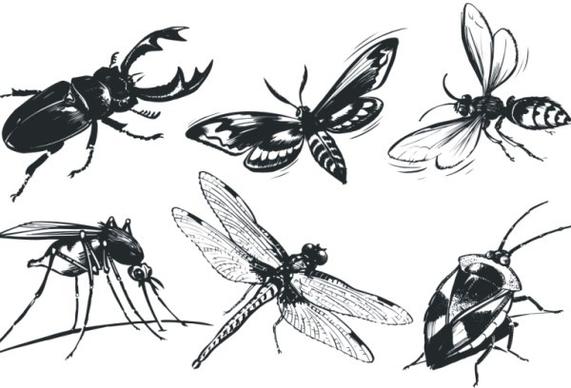 a monochrome insect vector