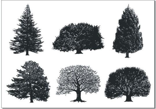 a monochrome tree vector