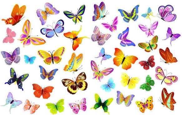 a variety of beautiful butterflies vector