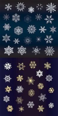 a variety of beautiful snowflakes vector