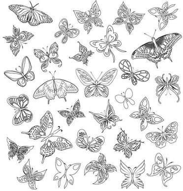 a variety of butterflies vector