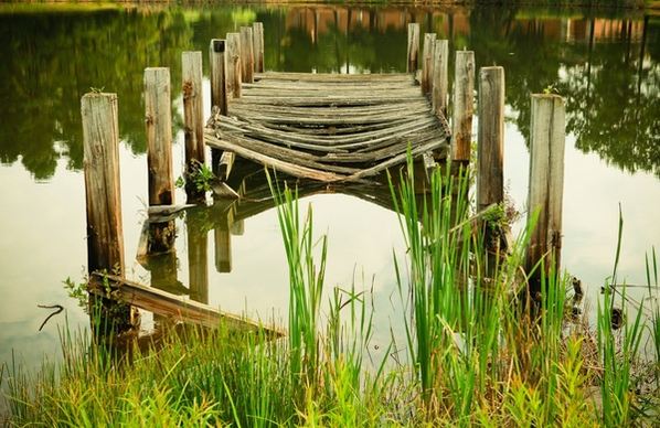 abandoned broken dock grass lake pier pond reed
