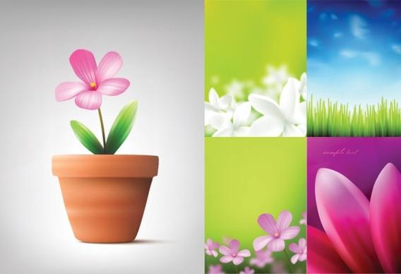 absolutely beautiful flowers and plant vector