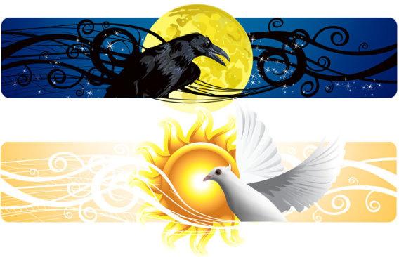 abstract banner with birds vector