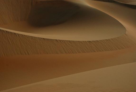 abstract camel desert desolate drought dry dunes