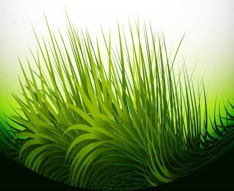 abstract green grass bright vector illustration