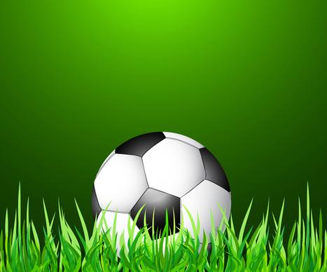 abstract green grass color football vector