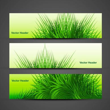 abstract green grass with reflection header vector design