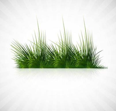 abstract green grass with reflection vector whit background illustration