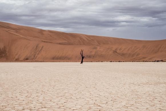 adventure arid camel desert desolate dry dunes hot