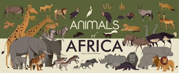 africa banner wild animals species sketch colored classic