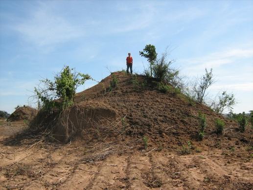 africa giant ant hill unusual