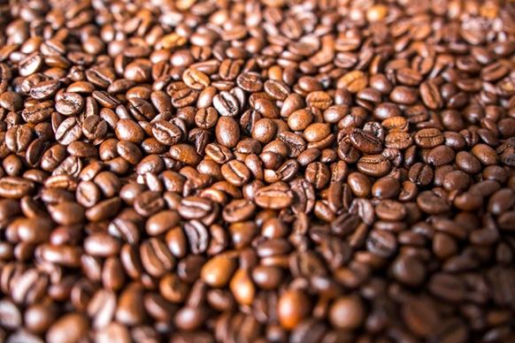 agriculture aroma bean cafe caffeine cappuccino