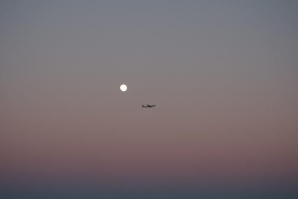 air aircraft airplane bird dusk evening flight