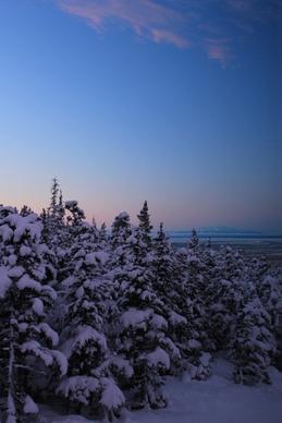 alaska bearvalley winter