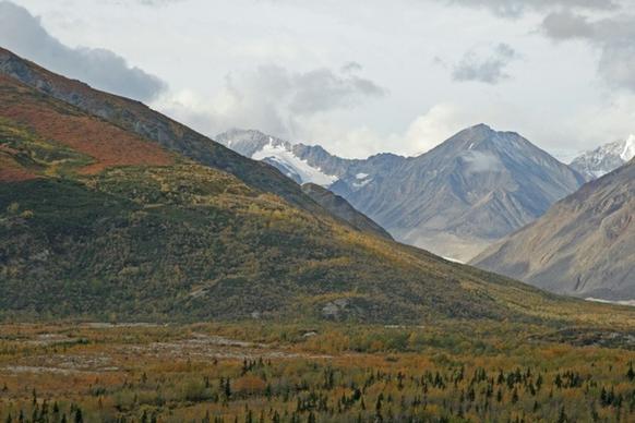 alaska forest mountains