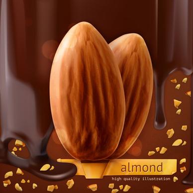almond with chocolate background vector