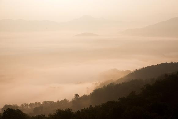 altitude fog forest haze jungle landscape mist