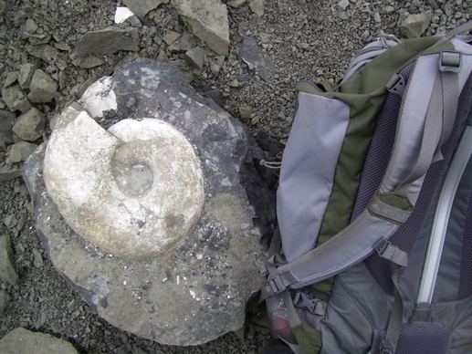 ammonite and backpack