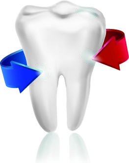 amusing dental design elements vector
