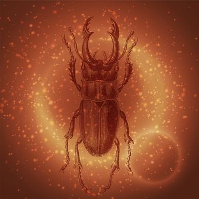 ancient beetle