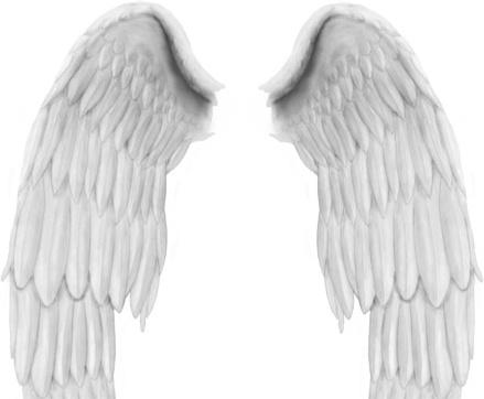 Angel Wings PSD file