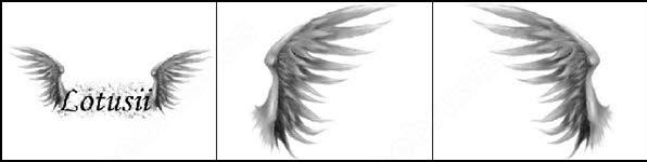 angelic wings brush