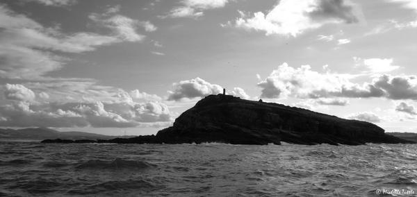 anglesey boat trip 3