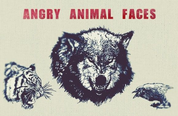 Angry Animal Face Vector