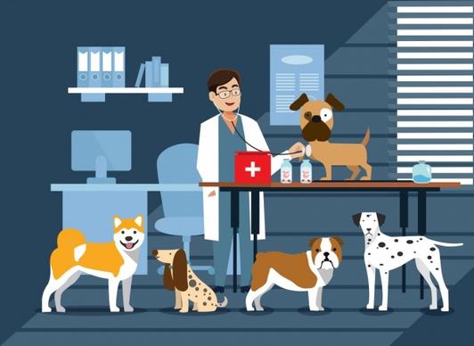 animal hospital drawing dogs doctor icons colored cartoon