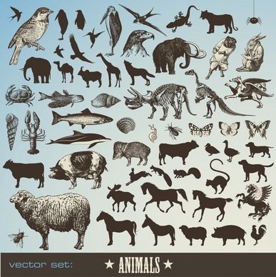 animal banner colored silhouette stylized icons decor