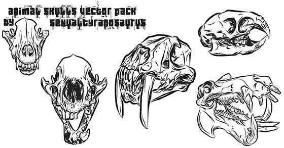 Animal skulls vector pack