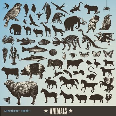 animals vector