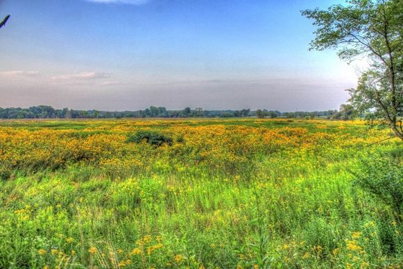 another prairie landscape at chain o lakes state park illinois