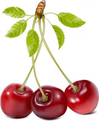 cherry background shiny colored modern realistic design