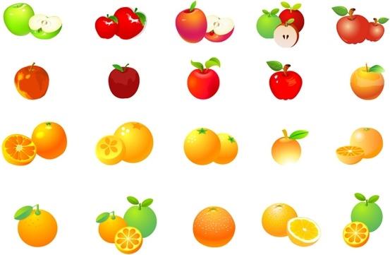 apples oranges vector