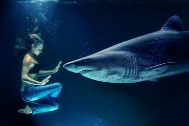 aqua performance picture woman shark contrast scene