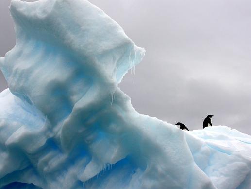 arctic cold color frozen glacier ice iceberg love