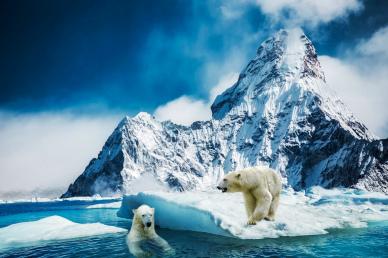 arctica scenery picture snow mountain white bears realistic