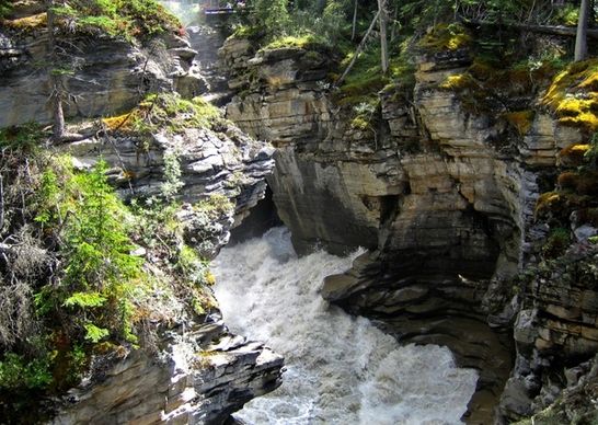 athabasca falls rocky mountain