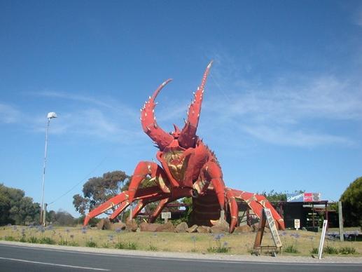 australia giant lobster