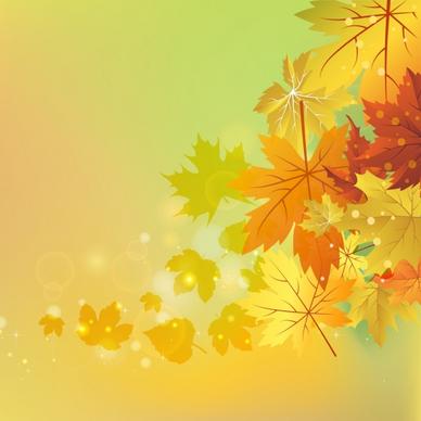 autumn background yellow leaves decoration sparkling bokeh style